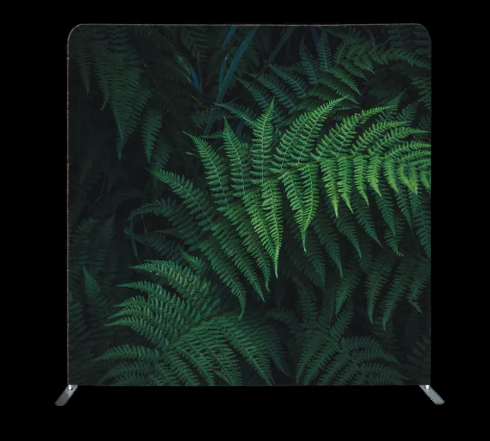Backdrop: Native Fern